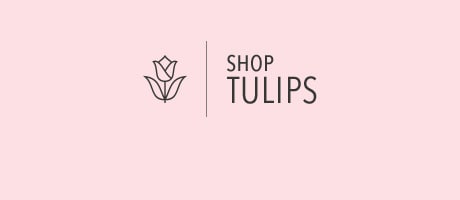 Beautiful Seasonal Flowers Banner